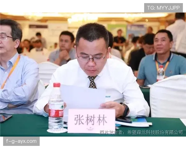 布拉加本赛季强势崛起：团队协作与战术创新共筑新高峰