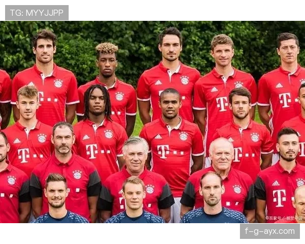 德甲球队主力阵容全面升级，新赛季竞争力显著提升引热议